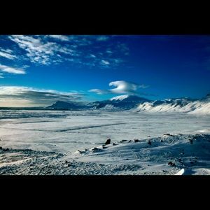 Meet your Posher, Gregory